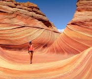 StockSnap_7Y84D37QEG